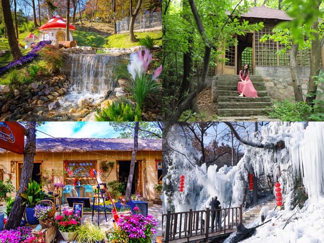 2026“马”年免费福利、吃临沂炒鸡送门票、年卡……千万别错过！