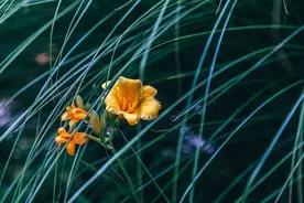 男人“得到”你以后，却不爱了的原因，扎心又现实图片