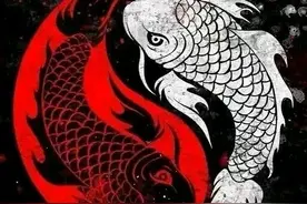 自学六爻的过程图片