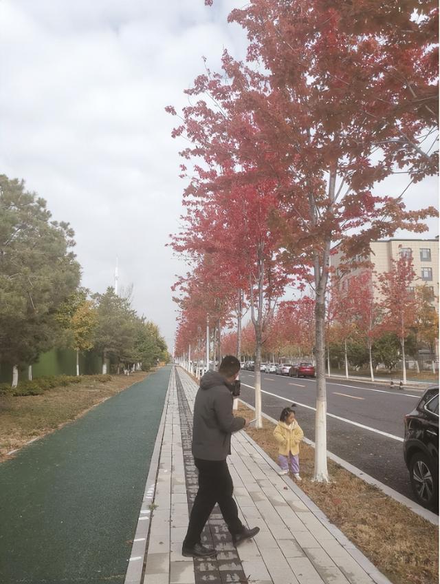 长春盛北小街 绘就美丽秋日
