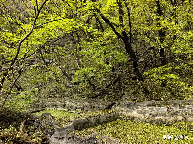 龙洞胜境尤奇崛
