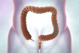 上厕所的科学原理：为何人体需要排泄？图片