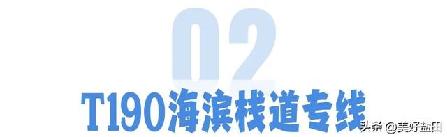 梅沙中英街旅游专线开通！还有这些专线带你轻松畅玩“双节”！