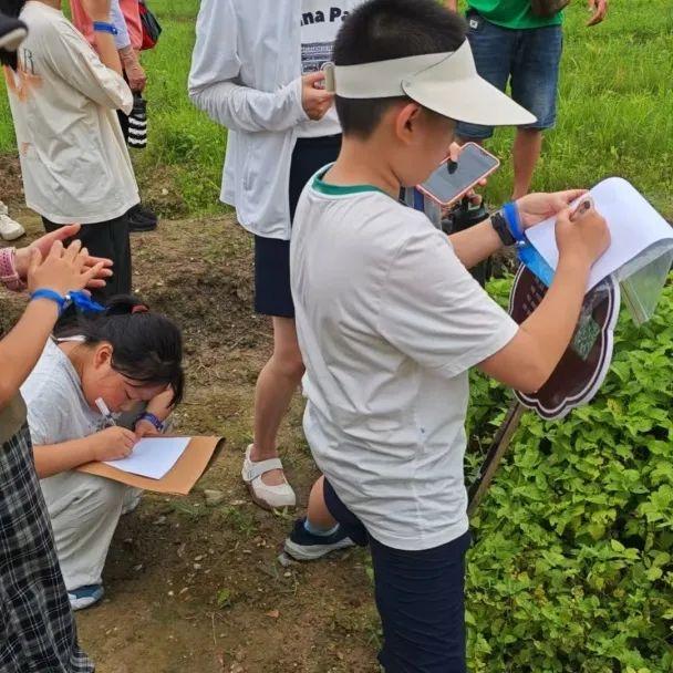 黄山·研学行 | 新安医学传承营：沉浸式体验中医智慧 | 皖美夏日