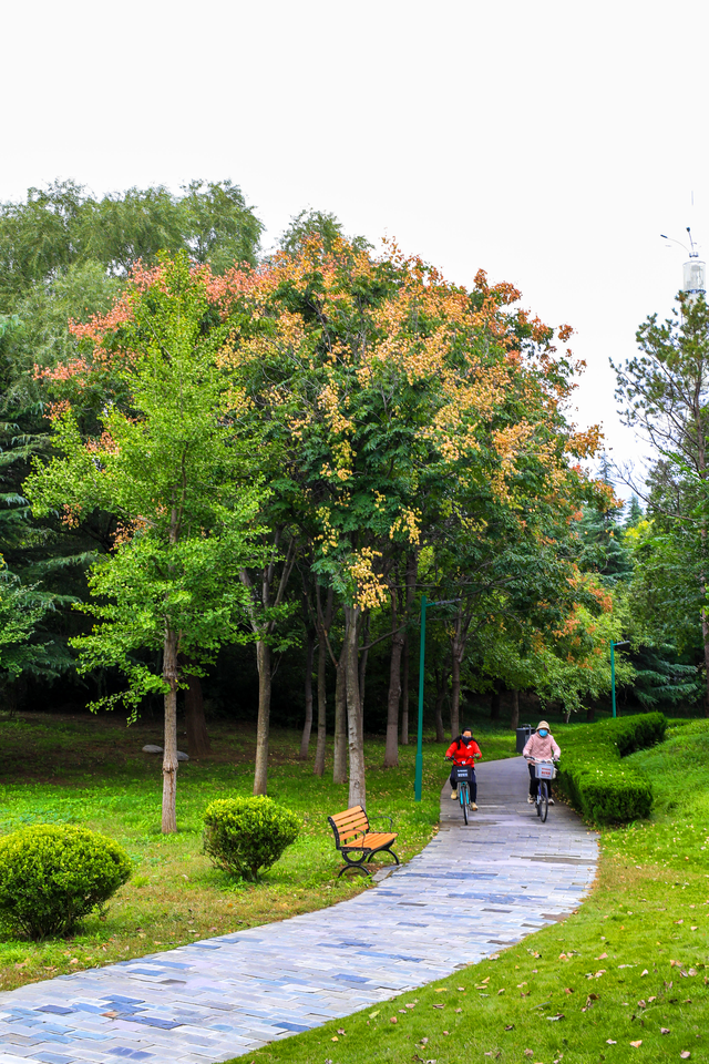 浞景无边，快乐亦无边~