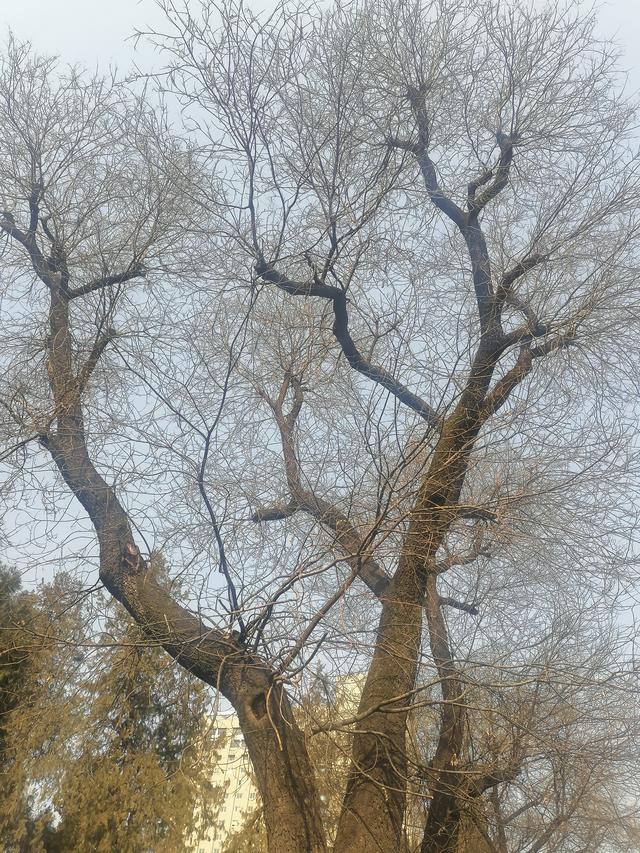 千年古刹 密宗祖庭