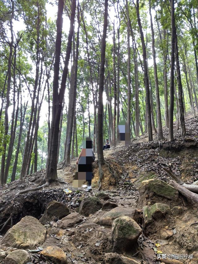 爬山，要量力而行，安全第一，爬歌乐山911更需如此