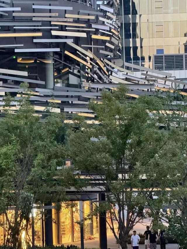 11月27日至12月3日，徐汇、宝山这些景点优惠福利上线→