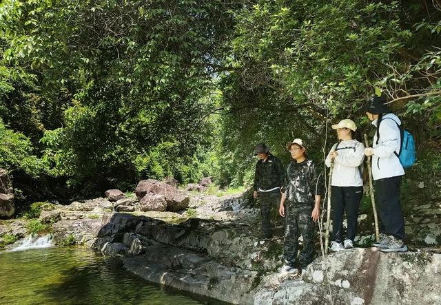 温州这个地方，藏着一群神秘“守泉人”