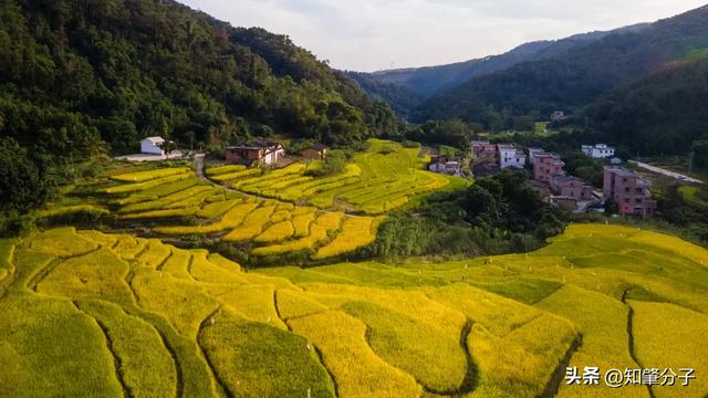 肇庆这里藏着“梯田胜境”,美得不像话!