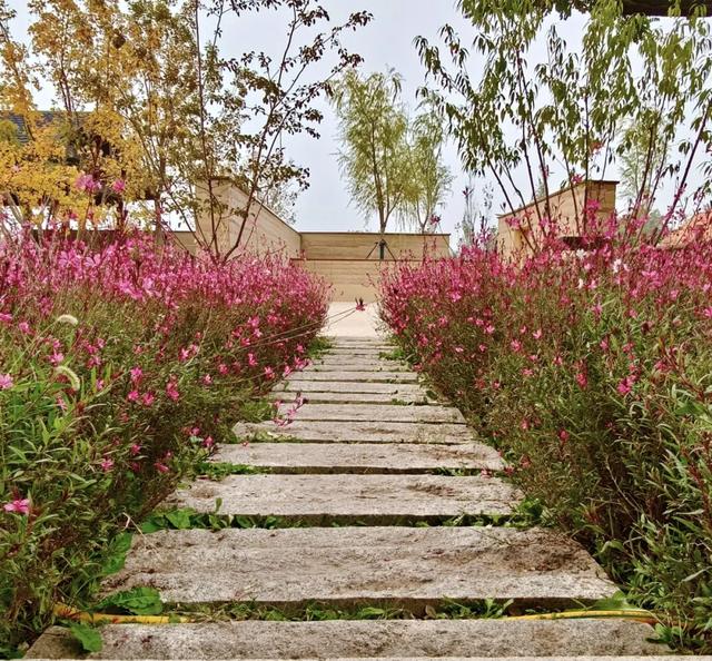 秋景秋色秋意浓，北京城市副中心藏着古今交融的浪漫