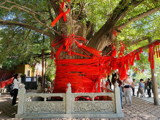 人在旅途（1）：我的家乡，山东安丘一个小山村。