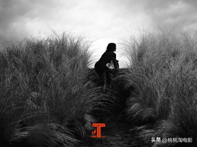 影后辛芷蕾《VOGUE》银十封面大片，达成五大女刊二轮满贯