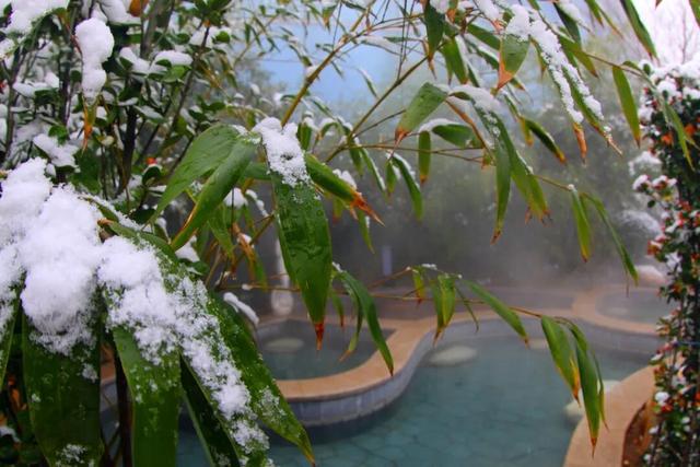 【雪漫汤头 温泉入梦】 汤头温泉旅游度假区“清冷与温润”的冬日美景皆在这里