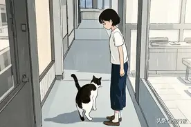 猫为什么爱对你“翘屁股”？其实有这些原因图片