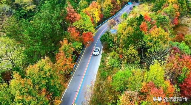 秋色正斑斓！信阳赏秋打卡地推荐