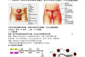 七年级下册生物168个知识点总结， 打印贴墙背，次次稳居前三！图片