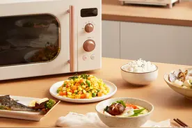 2024年微波炉推荐｜教你5分钟快速选购微波炉！17款热卖型号盘点图片