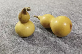 家有小葫芦，我该如何把它们盘成宝葫芦？图片