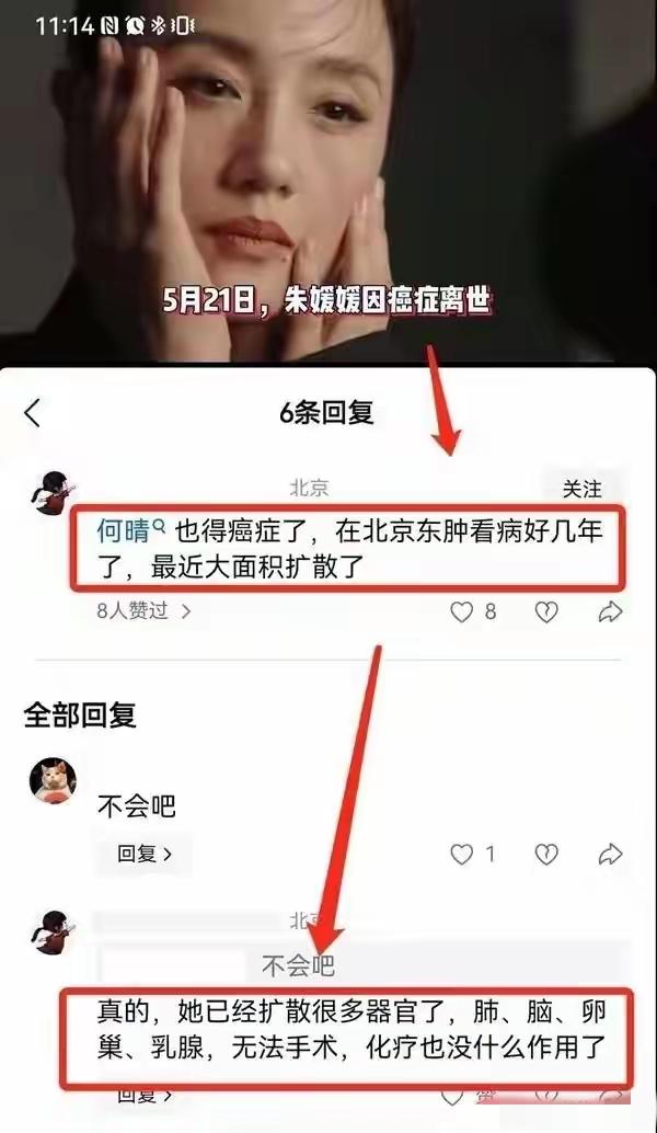 痛心！61岁演员何晴去世，家属透露病情，最后一次露面身材发福