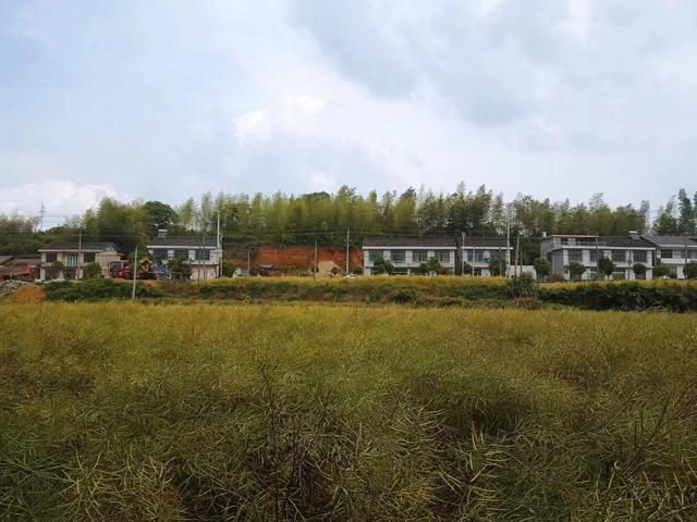浏河滚滚欲留春，独向芳踪觅雅意——徒步小溪河散记（七）
