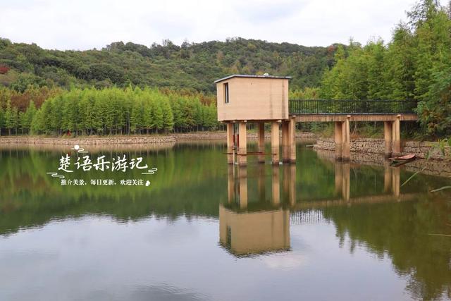 绍兴上虞的红杉观赏胜地，杉树未红时的景色也很美，非常值得游玩