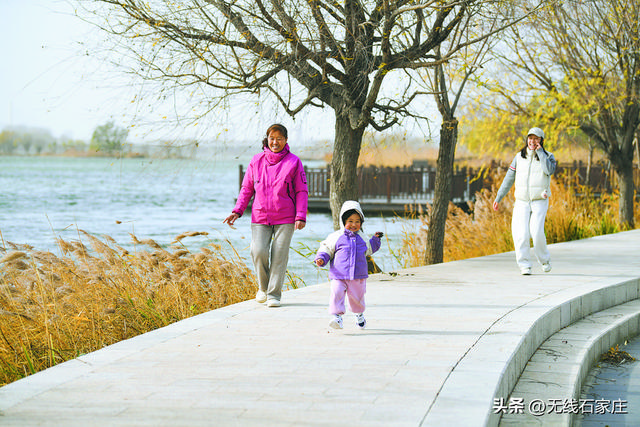 一河碧波 百鸟争鸣——石家庄滹沱河生态区（城区段）绘就城河相拥新景