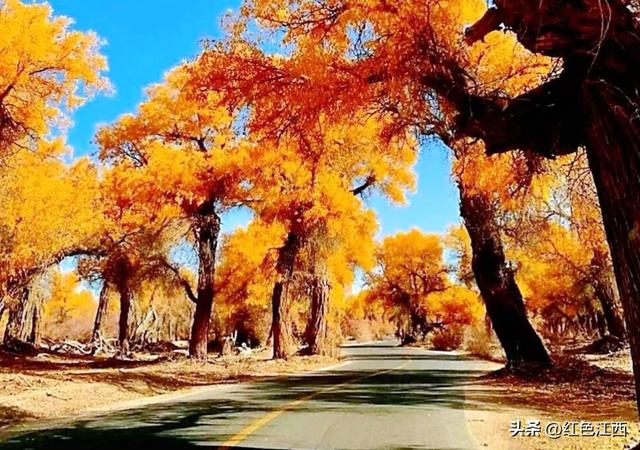 三千年的守望，赴一场大漠金辉之约