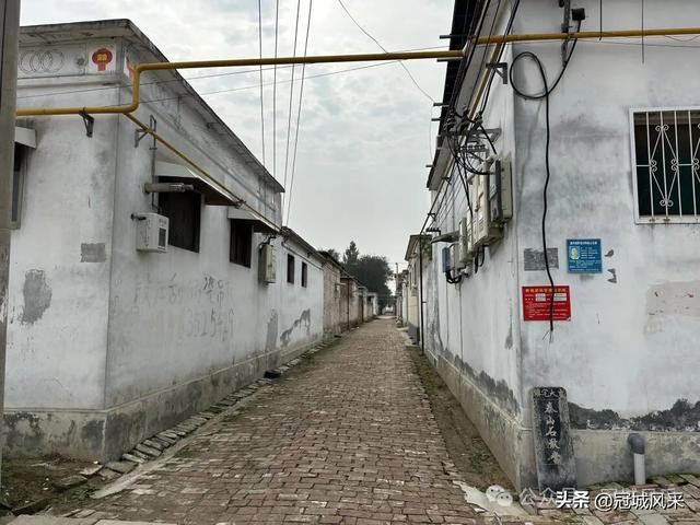 冠县乡韵·桑阿镇野场村