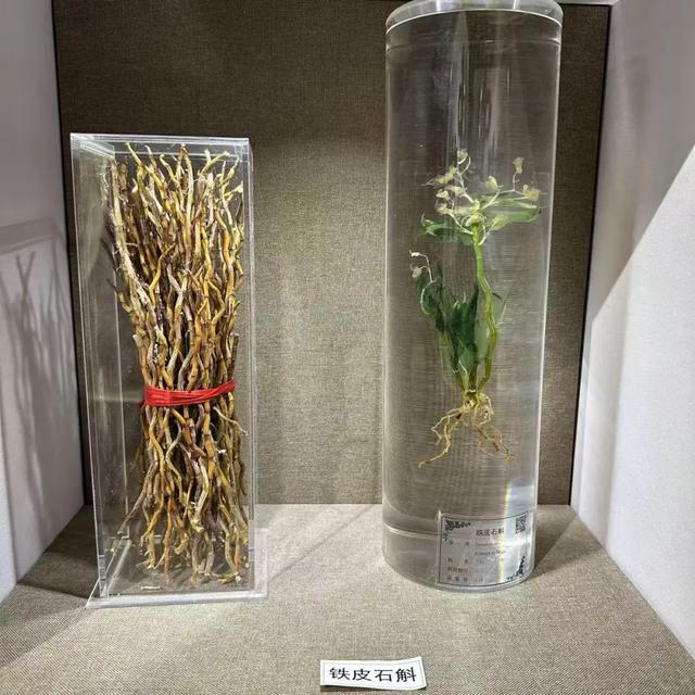 走，去中医药博物馆看玛瑙（说笑了~）