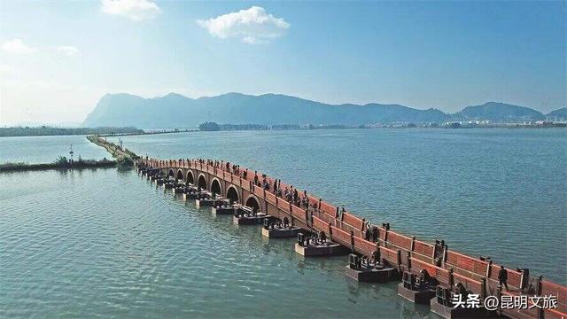 西山赏杏观鸥全攻略！40载人鸥情缘！3+8+N玩法承包冬日浪漫