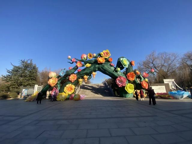 实拍!洛阳新春灯会来了!超多惊喜