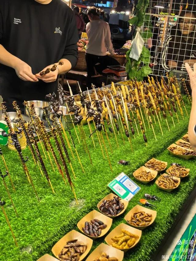 被世界推荐的旅游圣地~西双版纳之行随想