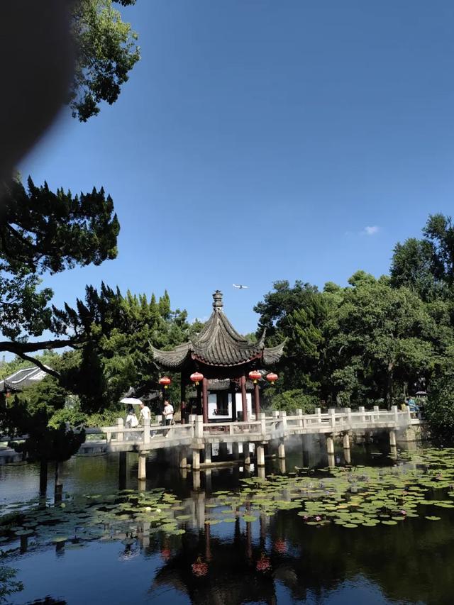 上海解锁“千园之城”,遛娃拍照吸氧圣地,哪个是你最爱?