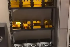 太有钱了！演员于洋豪宅曝光，3层货架放上吨金砖，网友评论亮了图片