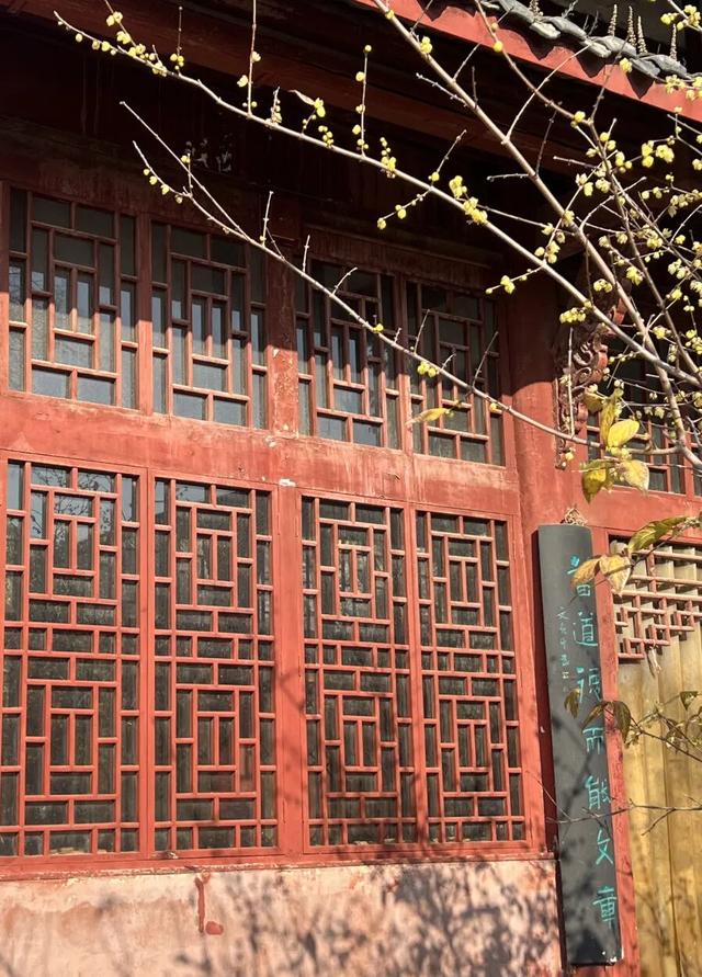 走，成都出发看“海鸥”！24分钟拢德阳，动车5分钟一趟说走就走