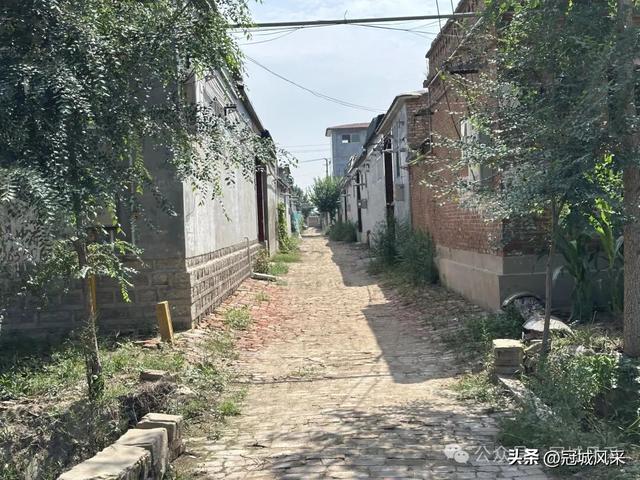 冠县乡韵·定远寨镇前杏园村