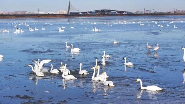 不能拒绝内蒙古的理由来了