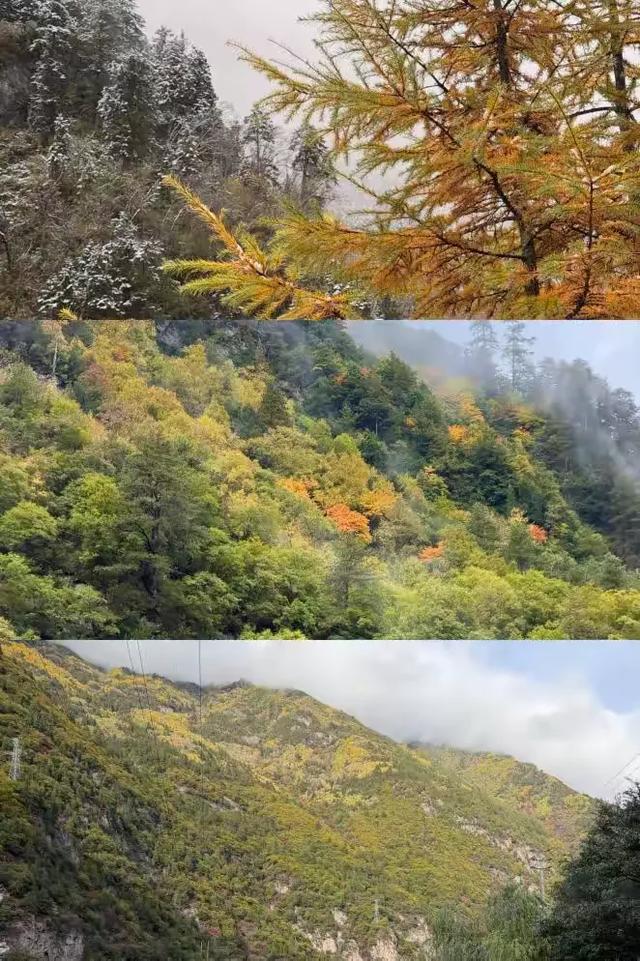 秋假追雪毕棚沟,没想到被安德服务区圈粉了!