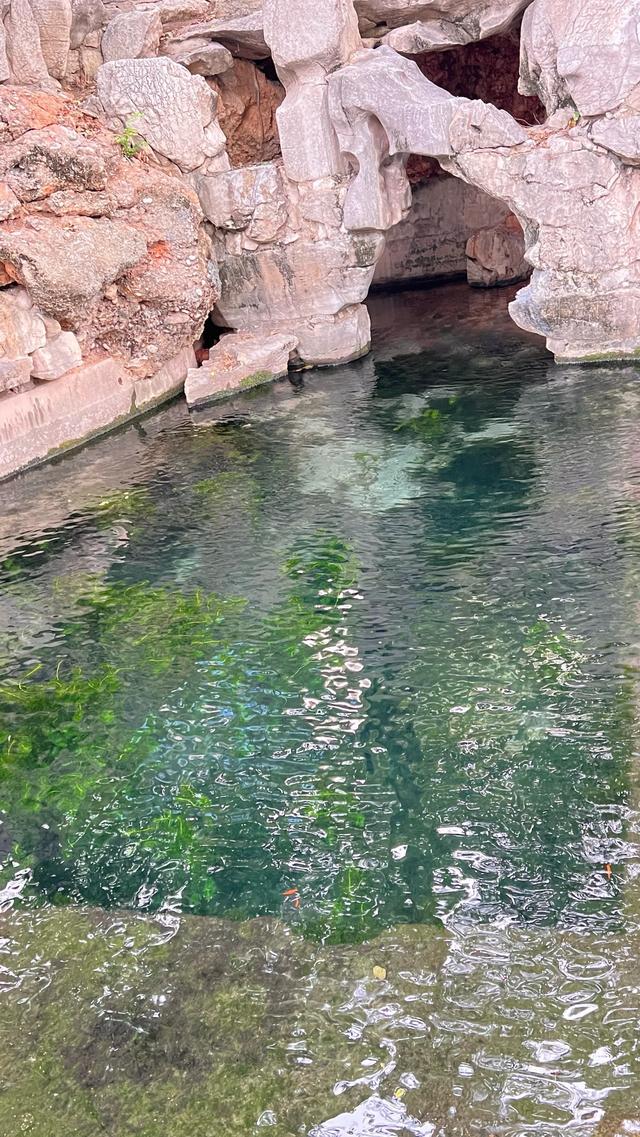 热门消息-刚从济南返来，实在不由得想说：对济南的5点印象(22)