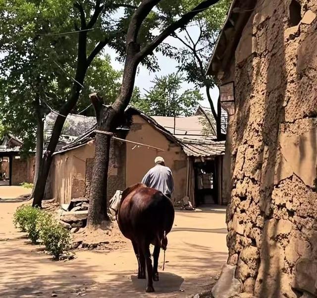 知青追忆：因为六元钱她寻找好心人多年，一次偶遇两人牵手一生