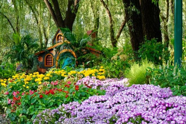 实拍！海淀“莫奈花园”已开启五彩斑斓“童话模式”