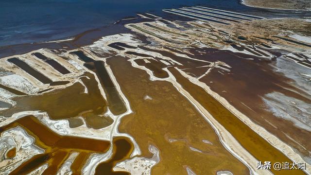 “大雪”时节的景泰盐沼湿地