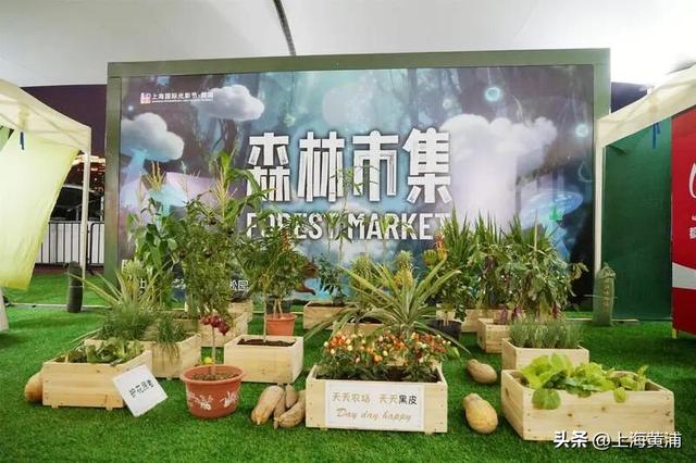 多图！一场跨越8天的光影森林“派对”已在黄浦滨江开启，大人小孩萌宠都能玩嗨！