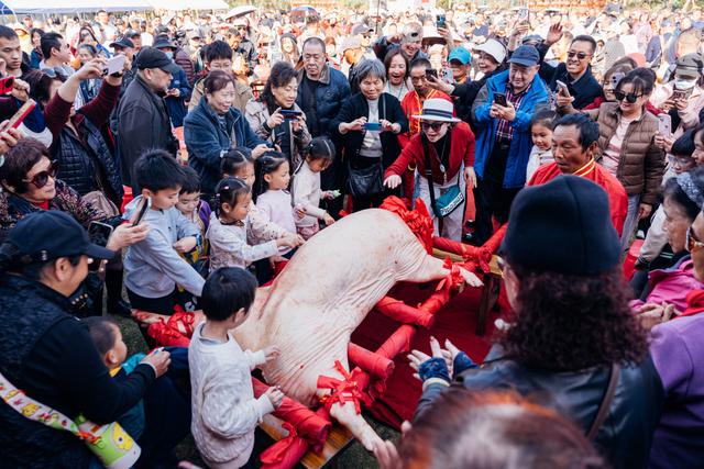 看馋了！野村谷千人年猪宴，预订来吃肉！
