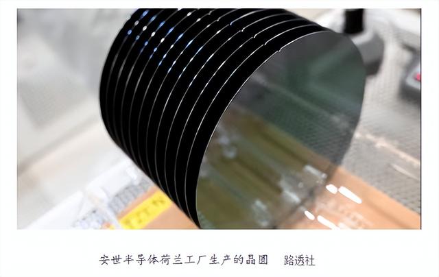 中国反制生效！“强抢”安世半导体后，荷兰政府倒台