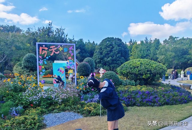 来了来了！南通秋天的仪式感