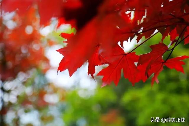10月29日，开启乐游天台山不限量徒步活动！速来围观！
