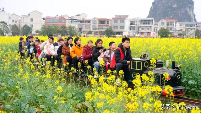 不负花期，不负春光，山边等你