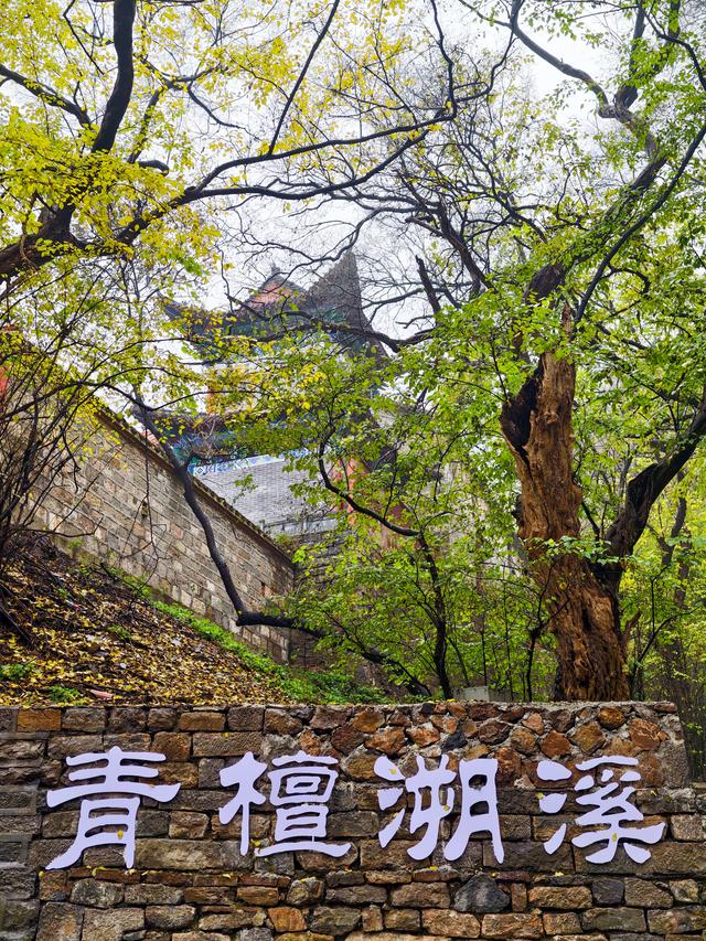 秋雨访皇藏峪，瑞云寺前问禅心
